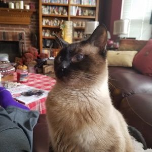 Meet your Posher, Terry